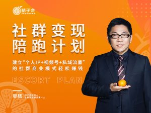 2023年桔子会视频号个人IP打造VIP课程打包下载