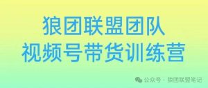 2024年狼团联盟视频号带货第四期训练营VIP课程打包下载