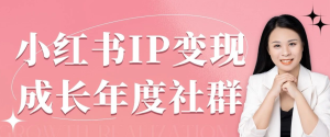 2024年一颗蘑菇君小红书爆款IP实战营VIP课程打包下载