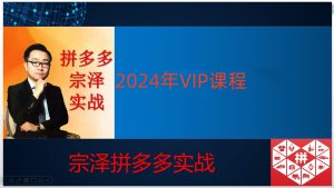 2024年宗泽拼多多VIP课程打包下载（持续更新）