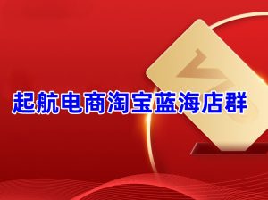 起航电商淘宝蓝海店群VIP课程打包下载（2023年）