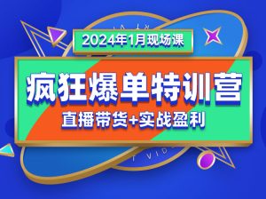 推易电商疯狂爆单特训营2024年1月份VIP现场课